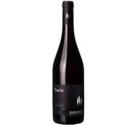 Merlot Cabernet 'Curtis' 2024 - Cantina Kurtatsch