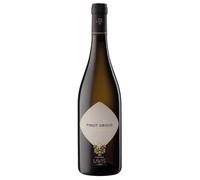 Cantina La-Vis Trentino DOC Pinot Grigio 2024 0,75 ℓ