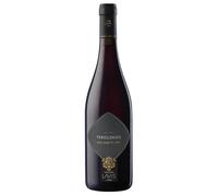 Cantina La-Vis Vigneti delle Dolomiti IGT Teroldego 2024 0,75 ℓ