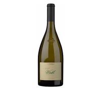 Sauvignon Alto Adige DOC Winkl Cantina Terlano 2020
