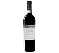 Cantina Tollo Cagiòlo Montepulciano d'Abruzzo Riserva DOP 2020 0,75 l
