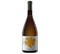 Cantina Tollo Terre d'Abruzzo IGP Pecorino 2024 0,75 ℓ