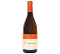 Cantine Antonio Caggiano Falanghina IGT 2024, Vino Bianco Campania, 13,5% vol, 750 ml