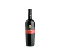 Cantine Fina Nero D'Avola 2023