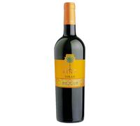 Cantine Fina Syrah Terre Siciliane IGT 2023 0,75 ℓ