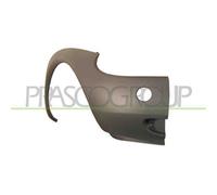 Prasco FD0071113 - Mostrina, Paraurti