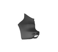 CANTONALE POSTERIORE SINISTRO NERO PORTA BATTENTE-RENAULT-Kangoo Van 2021