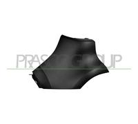 Cantonale Sinistro Paraurti Posteriore Con Primer Renault Kadjar 2015-2018