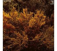 Cantu Ledesma Jefre - Tracing Back The Radiance