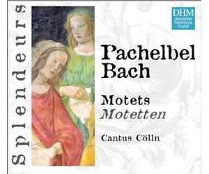Cantus Colln - DHM Splendeurs: Pachelbel/Bach: Motets