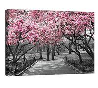 canvashop Quadri New York City stampa su tela canvas quadri moderni soggiorno arredo camera da letto città NY (50x35 cm, 13 central park bianco e nero)