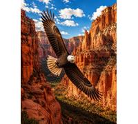 Canyon Flight: Eagle College Ruled Notebook
