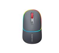 Canyon MW-22 mouse Universale Ambidestro RF senza fili + Bluetooth Ottico 1600 DPI