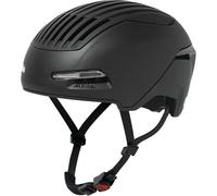 Cap Alpina Brighton MIPS Noir