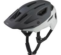 Cap Alpina Rootage 2 (x2) Gris