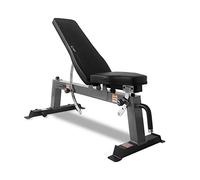 CAP Barbell Panca pesi utilità Deluxe, grigio (FM-CS804DX-GY)
