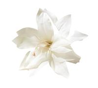 Capelli Fiori Artificiali 3pcs Fashion Elegance Lily Flower Hair Clip Girls Women Summer Beach Vacation Barrettes Multicolor Hairpin(White)