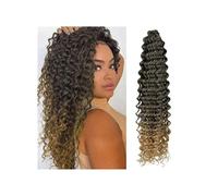 Capelli ricci ondulati all'uncinetto, 1 confezione, lunghi, biondi, sfumati, ondulati e ricci, morbidi capelli sintetici all'uncinetto for donne nere Facile installazione e rimozione(T27,22inch)