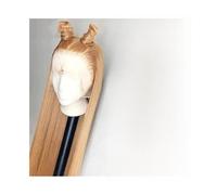 Capelli Sintetici Parrucca di capelli umani biondo miele #27 HD 13X6 Parrucca frontale in pizzo con capelli umani lisci come l'osso Parrucca sintetica(18inches)