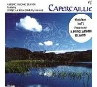 Capercaillie - A Prince Among Islands