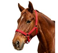 Capestro per Cavallo Accessorio Regolabile Per Pascolo E Spettacoli