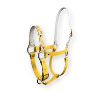 Capezza Amber Wings SPARKLE UNICORN