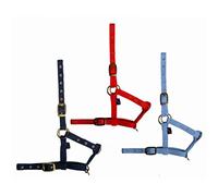 CAPEZZA in nylon da puledro CELESTE TUN