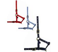 Capezza in nylon da puledro Daslo