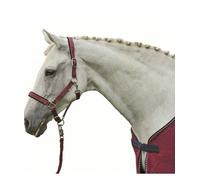 Capezza per cavalli in nylon imbottita e mobida modello Stars Economy Hkm Sports