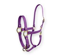 Capezza Violet Vibe SPARKLE UNICORN