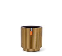 Capi Europe - Vaso cilindrico Groove - 23x25 - Oro - Apertura Ø23 - Maceta para interior y exterior - BGVGB315