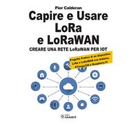 Capire e usare LoRa e LoRaWAN. Creare una rete LoRaWAN per IoT. Con Progetto Pratico di un dispositivo LoRa e LoRaWAN con Arduino, ATmega328 e Raspberry Pi