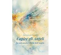 Capire gli angeli. Le 108 caratteristiche dell'angelo