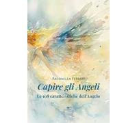 Capire gli angeli. Le 108 caratteristiche dell'angelo