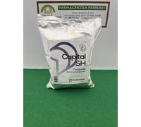 Capital SH fungicida a base di Captano 80% per varie culture Kg1