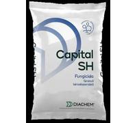 CAPITAL SH KG 1 CHIMIBERG FUNGICIDA CAPTANO 80% AD AZIONE PREVENTIVA PER BOLLA