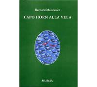 Capo Horn alla vela. 14000 miglia senza scalo