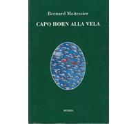 Capo Horn alla vela