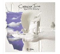 Capoeira Twins - Reinsville Heights