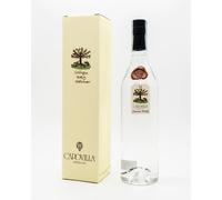 Capovilla Grappa di Breg Gravner Vol. 52% cl 70