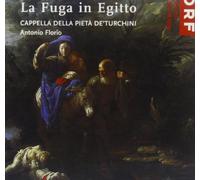 CAPPELLA DELLA PIETA DE'T - LA FUGA IN EGITTO