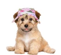 Cappelli da sole per cani traspiranti | Cappelli da sole in rete per cani e gatti, cappello con visiera per a tesa rotonda per regali | Pet Sombrero Cane Cappello di Paglia Cappello Tessuto Gatto