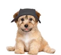 Cappelli da sole per cani traspiranti,Protezione solare porosa in rete con | fori per le orecchie e cinturino sottogola regolabile per l' - Pet Sombrero Cane Cappello di Paglia Cappello Tessuto Ga