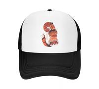 Cappellino da Baseball Giapponese Fox Fashion Casual Mesh Regolabile Hip Hop Estate Unisex Baseball Policromatico