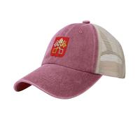 Cappellino Da Baseball Unisex Con In Rete Modello Trucker - Regolabile Con Stampa Dello Stemma Del Vaticano Della Bandiera Cappello Da Sole Per Uomo Donna Per Viaggi Estivi Sport All'Aria Aperta