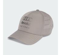 CAPPELLINO TRUCKER AUDI REVOLUT F1 TEAM MECHANICS