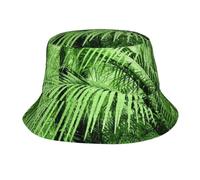Cappello A Secchiello Raintree Palm Trees And Exotic Plants In Tropical