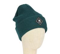 Dc Shoes Label Beanie Verde