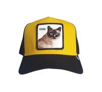 Cappello Con Visiera Goorin Bros. 101-1438 Cool Cat Uomo Sintetico Oro