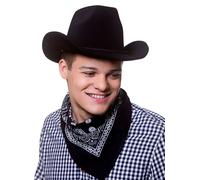 Cappello da Cowboy Texan Cowgirl Stetson Wild West Nubilato Cervo Costume Adulti